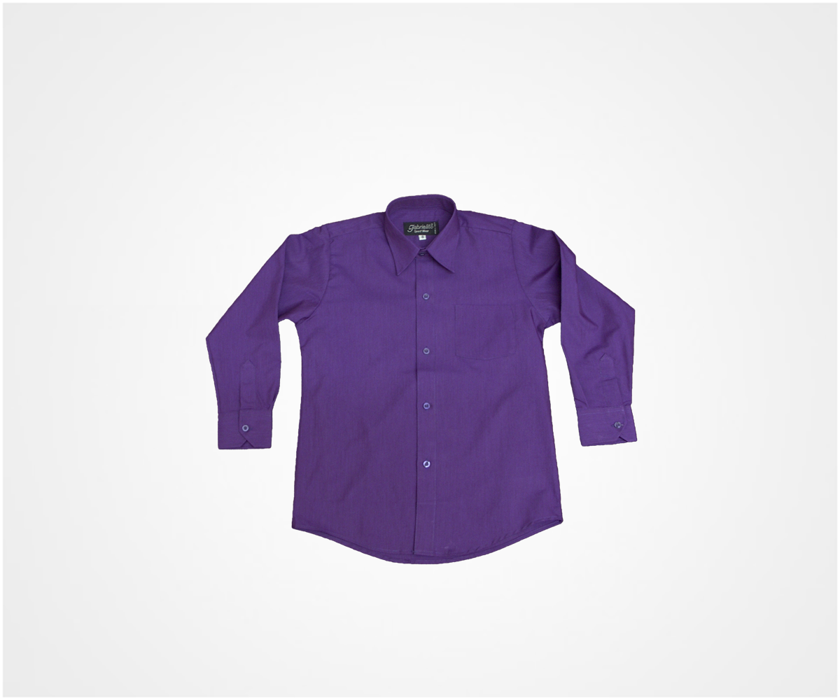 Camisa manga larga de vestir