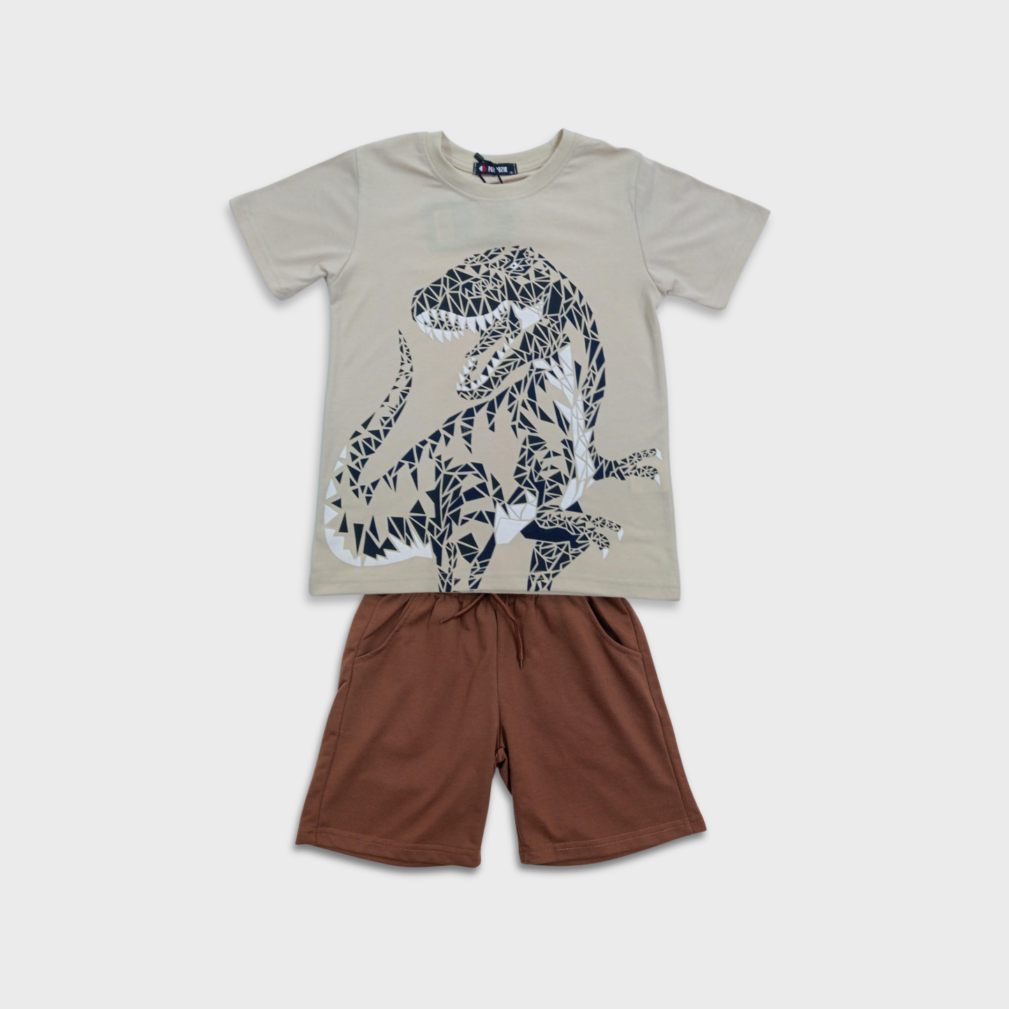 Conjunto de 2 piezas dinosaurio