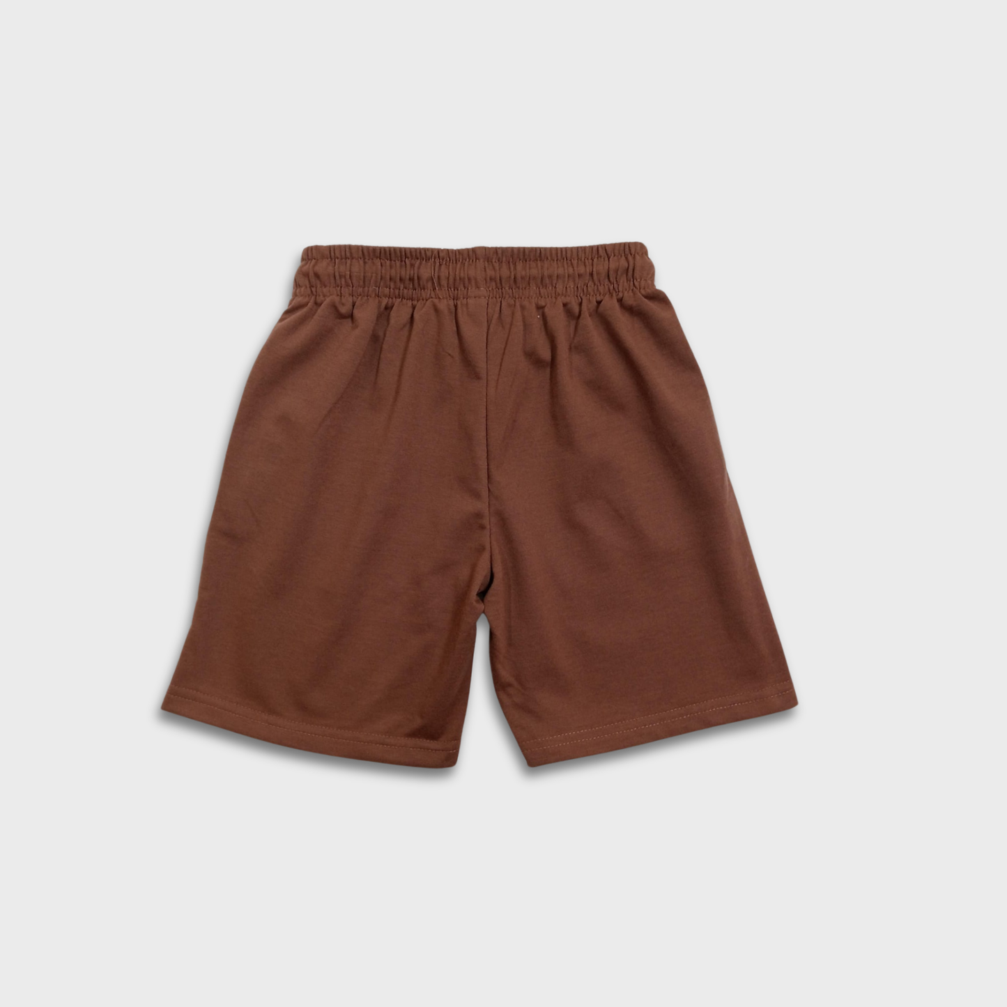Conjunto de 2 piezas dinosaurio