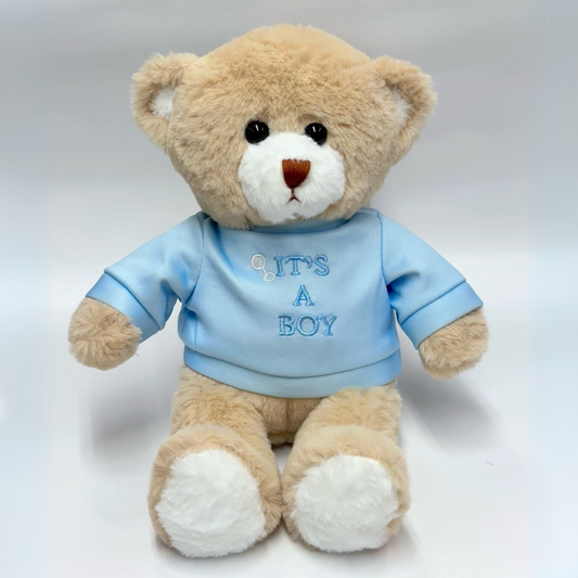 Oso de peluche para revelación